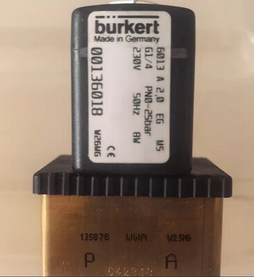 Burkert Original Genuine Product 6013series 00137537/00134233/00136018/00137533 Two-way Plunger Valve